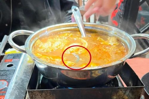 Vụ có rết trong nồi lẩu thái: Đại diện quán nói gì?