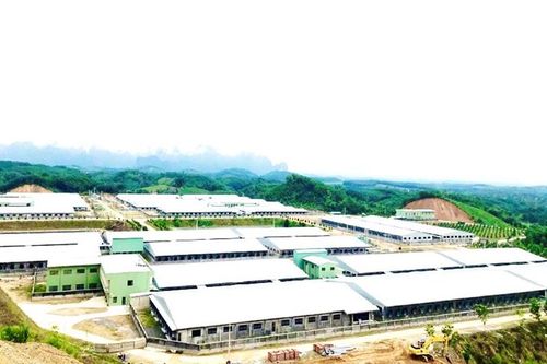 Hiện đại hóa ngành chăn nuôi - những vấn đề đặt ra (Bài 2): Sự trợ lực kịp thời gỡ khó cho ngành chăn nuôi