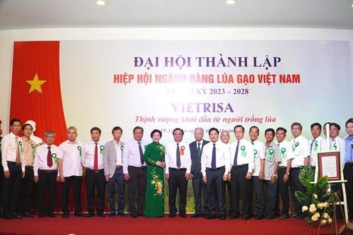 Thành lập Hiệp hội ngành hàng lúa gạo Việt Nam
