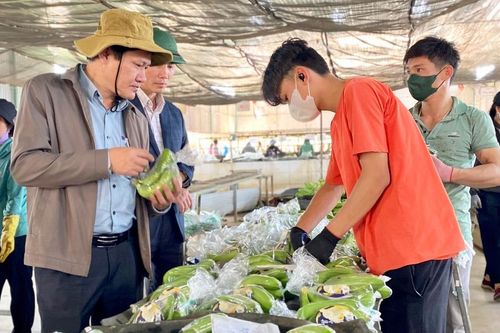 Rà soát, điều chỉnh danh mục dự án kêu gọi đầu tư