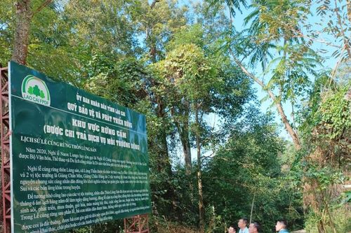 Si Ma Cai quản lý, bảo vệ rừng dựa vào cộng đồng