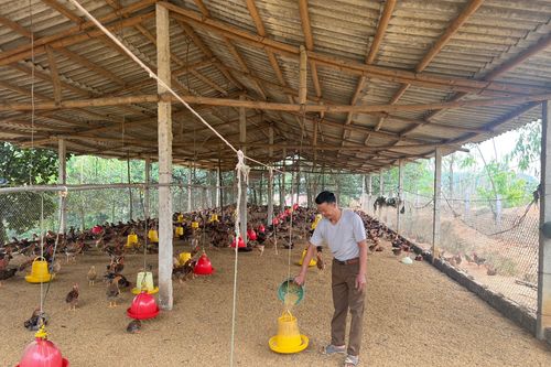 Nâng cao chất lượng học văn hóa kết hợp với đào tạo nghề