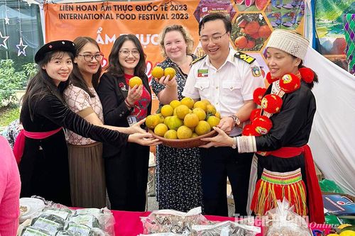Quảng bá văn hóa, ẩm thực Tuyên Quang tại Liên hoan Ẩm thực quốc tế 2023