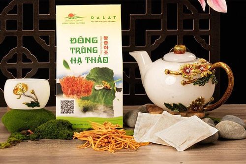 Trà đông trùng hạ thảo có tác dụng gì? Bật mí địa chỉ mua trà chuẩn nhất