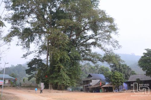 Thái Nguyên - 60 năm thực hiện lời Bác dặn, bài 1: Tuy Người ở xa nhưng 'lòng' luôn gần