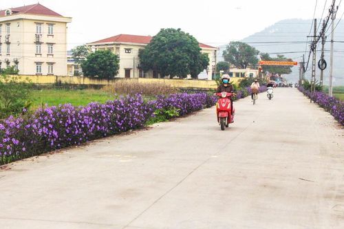 Công bố huyện Đại Từ đủ điều kiện đề nghị xét, công nhận đạt chuẩn nông thôn mới năm 2023