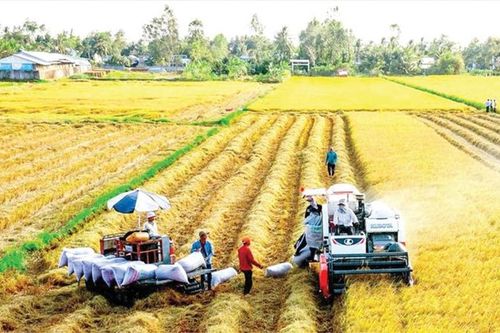 Phải tăng cường hành động giảm thiệt hại liên quan đến khí hậu cho ngành nông nghiệp