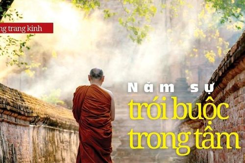 Năm sự trói buộc trong tâm