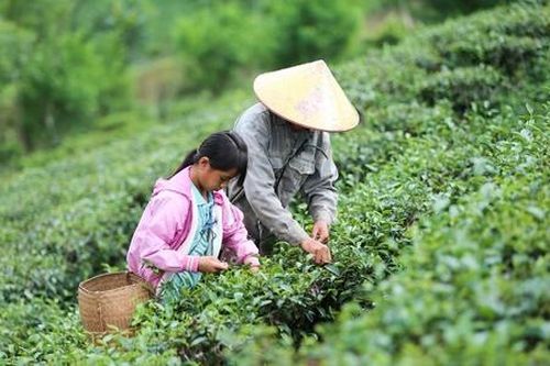 'Trái ngọt' giảm nghèo từ du lịch