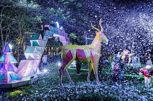 Noel tuyết trắng cùng cây thông pha lê đổi màu rực rỡ tại Ecopark