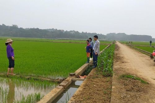 Nông thôn mới – điểm nhấn của Sơn Tây sau 15 năm về Hà Nội