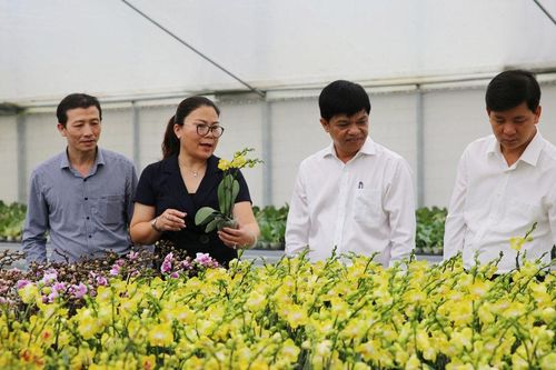 Đan Phượng phát triển nông nghiệp công nghệ cao gắn với du lịch