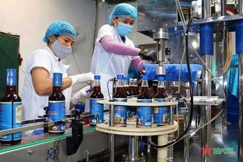 Thanh Hóa: Chủ thể sáng tạo - chính quyền 'đỡ đầu', nâng cao chất lượng sản phẩm OCOP