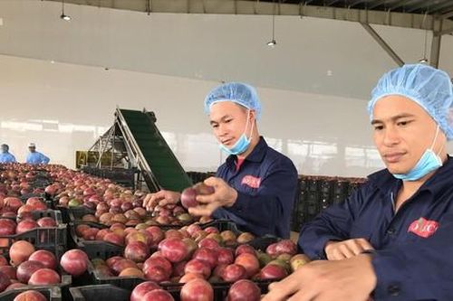 Đề xuất 6 giải pháp thúc đẩy thương mại Việt – Trung