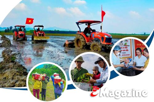 Xây dựng huyện nông thôn mới - Kỳ Anh nỗ lực bứt phá (bài 1): Tìm giá trị mới cho nông nghiệp, nông thôn
