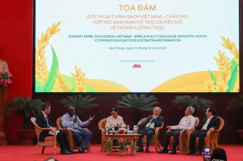 Chia sẻ kinh nghiệm hợp tác Nam-Nam trong phát triển thương mại lúa gạo