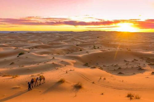 10 sự thật thú vị về sa mạc Sahara