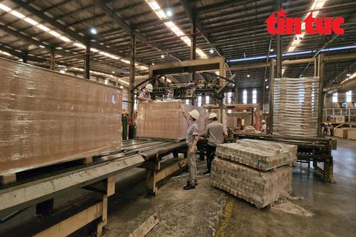 Cận cảnh quy trình sản xuất ván MDF của hệ thống nhà máy Top 10 thế giới tại Việt Nam