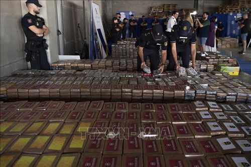 Cảnh sát Tây Ban Nha thu giữ 7,5 tấn cocaine giấu trong cá ngừ đông lạnh