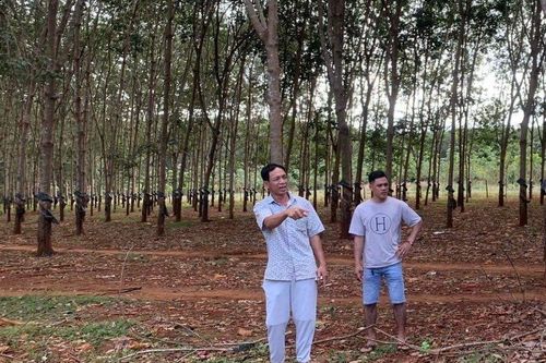 Gia Lai: Người dân hồ hởi hiến đất làm đường