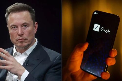 Chat bot của Elon Musk gọi anh là 'một con bò đực trong một cửa hàng đồ sứ'