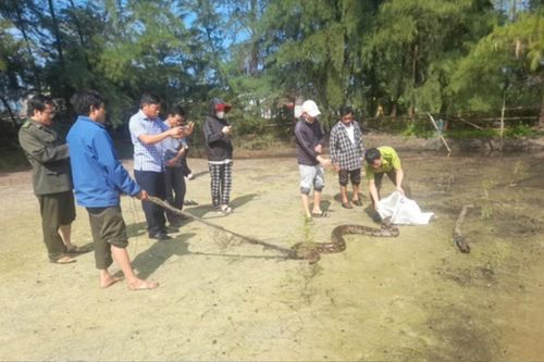 Đi câu cá, người đàn ông giật mình phát hiện 'nhân vật' đặc biệt nằm quằn quại trong tấm lưới dù