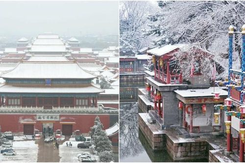 Trung Quốc: Tuyết đầu mùa bao phủ tạo nên cảnh tượng đẹp đến nao lòng tại Tử Cấm Thành