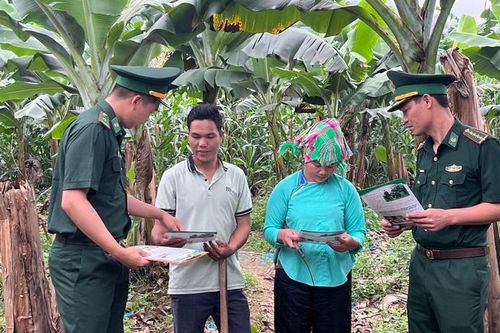 Lào Cai: Phấn đấu ít nhất mỗi xã biên giới có 1 mô hình sinh kế bền vững