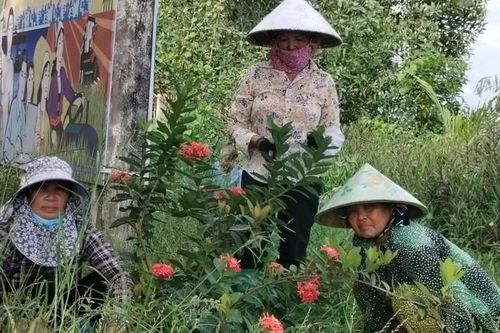 Giúp hội viên của từng chi, tổ hội phụ nữ vùng biên giới Long An xóa đói nghèo