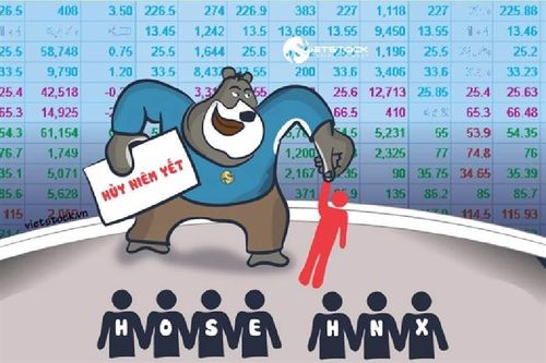 Từng được ông Nhân Louis 'thổi giá' tăng 6.000%, cổ phiếu TGG chính thức bị hủy niêm yết