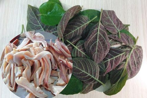 Chữa bệnh đầy hơi, khó tiêu bằng lá mơ lông