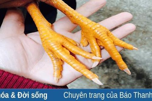 Ngược chiều tâm linh: Cũng tại... cái chân gà