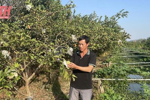 Nông dân Lê Văn Bình làm giàu trên đồng đất trũng
