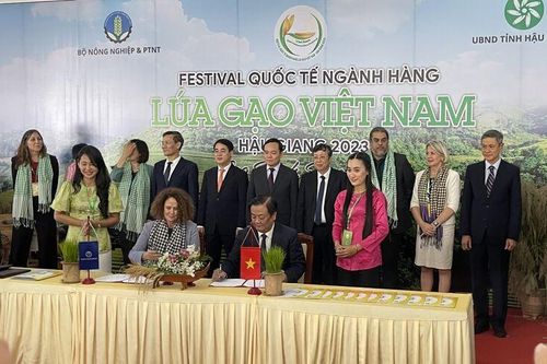 Phó Thủ tướng Chính phủ Trần Lưu Quang thăm gian hàng lúa gạo của An Giang