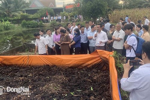 Bảo vệ môi trường trong xây dựng nông thôn mới