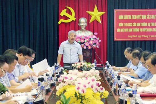 Kiểm tra công tác đảm bảo an ninh trật tự tại huyện Long Thành