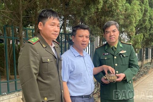 Bàn giao cá thể rùa hộp trán vàng quý hiếm cho Vườn Quốc gia Hoàng Liên