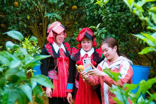 Phụ nữ thôn Sả Hồ vươn lên thoát nghèo