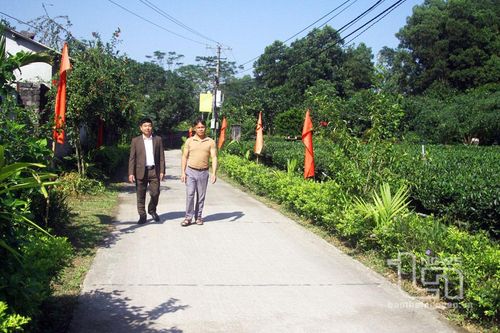 Xây dựng nông thôn mới: Gặt hái thêm nhiều trái ngọt