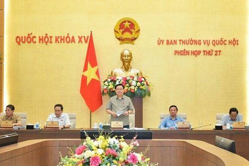 Năm 2024 có thể xem xét, sửa đổi Luật Thuế giá trị gia tăng