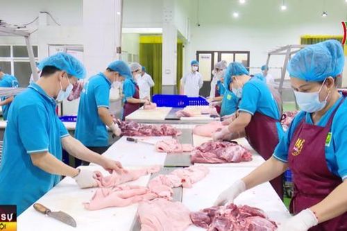 Kiểm soát giết mổ dịp cuối năm