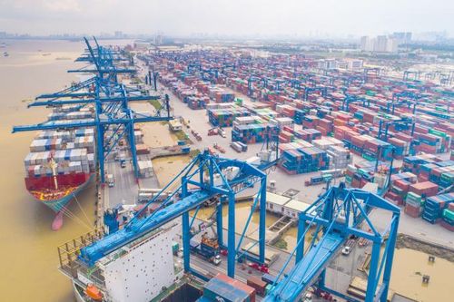 Cổ phiếu Xây dựng Công trình Tân Cảng bị hủy niêm yết, đã có lúc chạm mức 1 triệu đồng/cổ phiếu