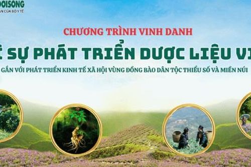 Hơn 40 doanh nghiệp, HTX, hộ cá thể được lựa chọn để vinh danh vì sự phát triển dược liệu Việt