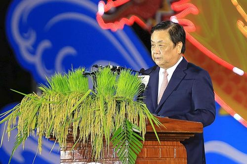 Bộ trưởng Lê Minh Hoan: Chuỗi giá trị ngành hàng lúa gạo cần có những thích ứng linh hoạt