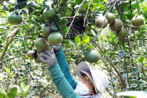 Liên kết để thoát lỗ
