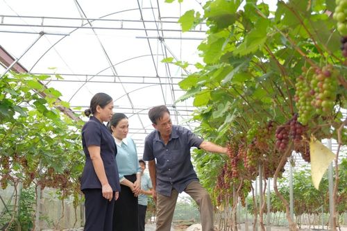 Huyện Phúc Thọ: Hiện thực hóa mục tiêu 'vành đai xanh'
