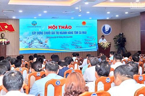 Tạo dựng chuỗi giá trị ngành hàng tôm bền vững