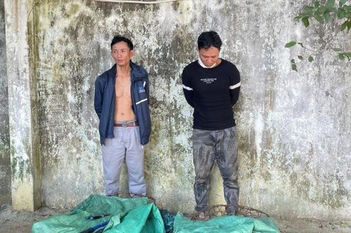 'Cáo 2 chân' bị tóm