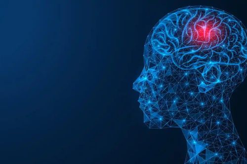 Bộ giải mã não giúp chuyển suy nghĩ thành văn bản, âm thanh
