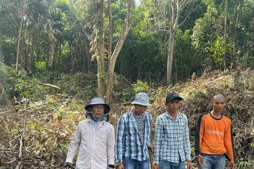 Bắt quả tang 4 người phá hàng trăm mét vuông rừng ở Phú Quốc